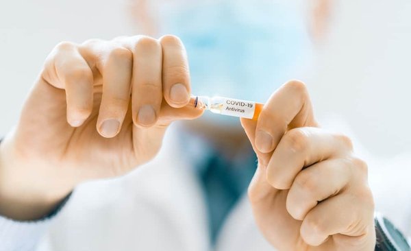 Comment prévenir et gérer les maladies des plantes dans votre jardin