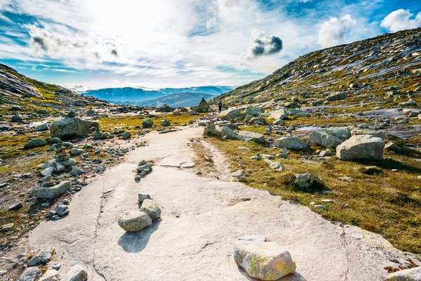 Comment intégrer le style scandinave dans votre décoration